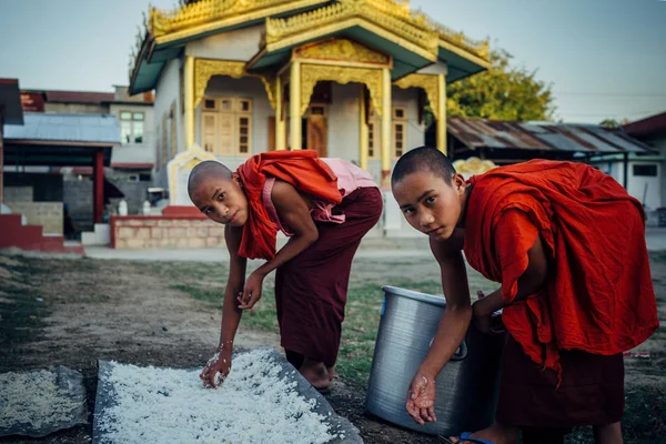 Novice monks drying rice — Stock Photo, Image