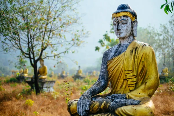 Görünüm üzerinde Buda heykelleri alanındaki gözlemleyerek
