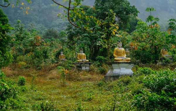 Vue d'observation des statues de bouddha sur le terrain — Photo