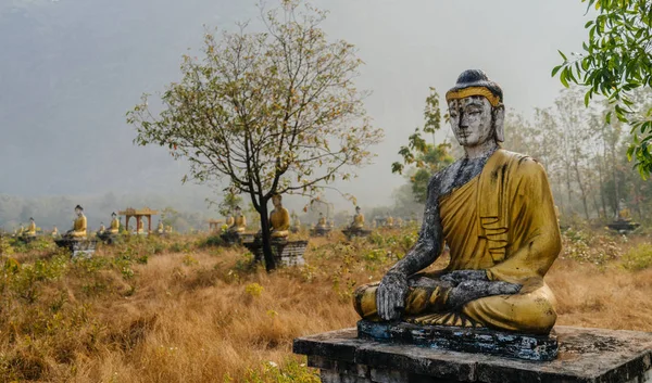 Vue d'observation des statues de bouddha sur le terrain — Photo