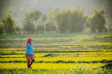 alanında çalışan kadın