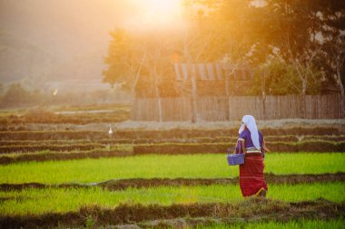 alanında çalışan kadın