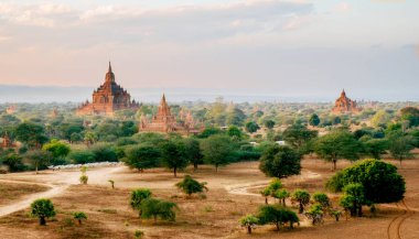 Ormandaki antik tapınak kompleksi