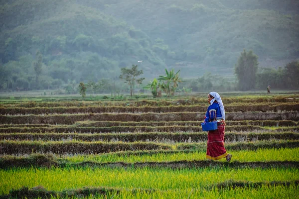 alanında çalışan kadın