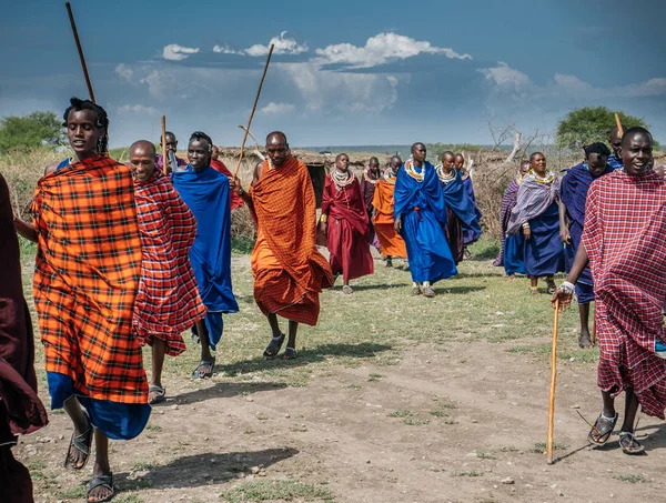 Membri della tribù che ballano con bastoni — Foto Stock