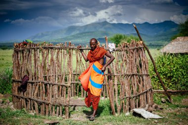 Adam Wattle çitin ayakta