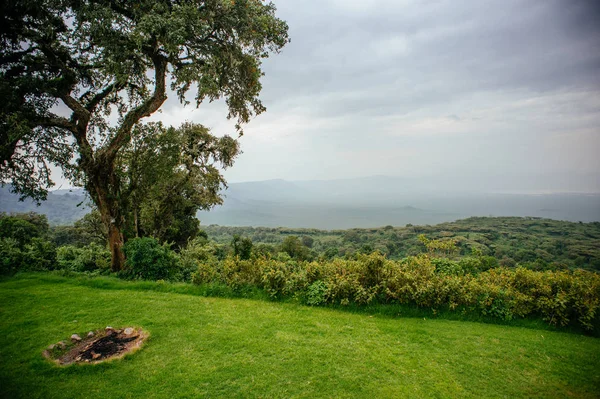 Paisaje vista de la sabana y el cielo nublado —  Fotos de Stock