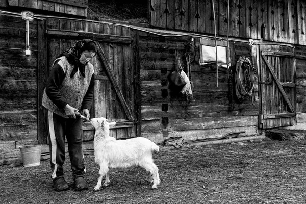 Mulher alimentando pequena cabra — Fotografia de Stock