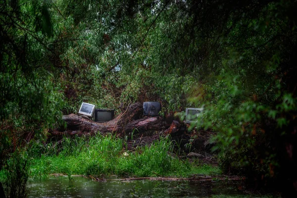 Old TVs and monitors in woods
