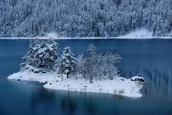 Floresta coberta de neve na margem do lago — Fotografia de Stock