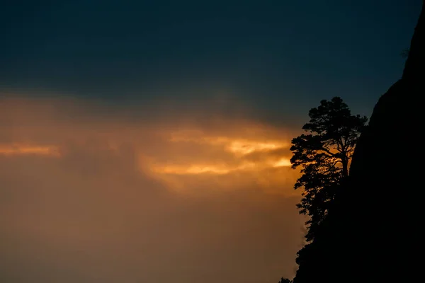 Tree silhouette on mountain — Stock Photo, Image