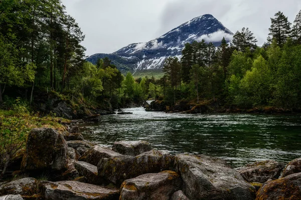 nehir ve yeşil orman