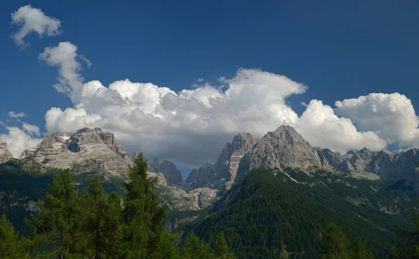 trees on mountains and clouds
