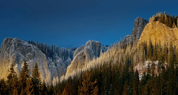 mountain forest and snow covered rocks