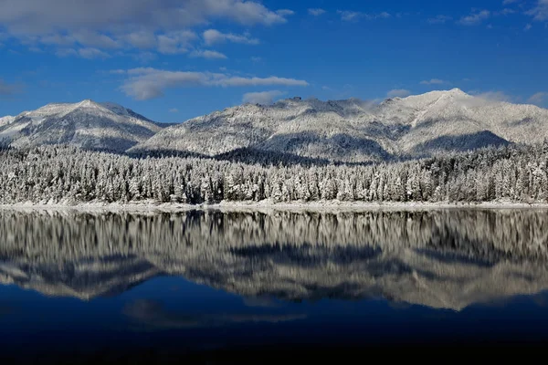 Pokryte śniegiem lasu na brzegu jeziora Obrazek Stockowy
