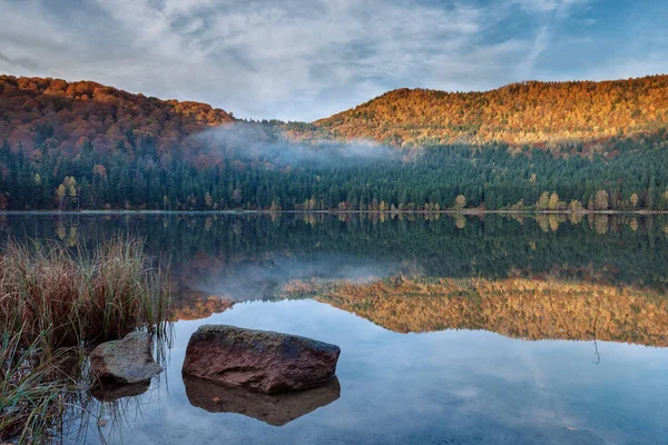 Lake and autumn forest — Stock Photo, Image