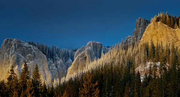 Δάσος στο βουνό και το χιόνι κάλυψε βράχια Εικόνα Αρχείου