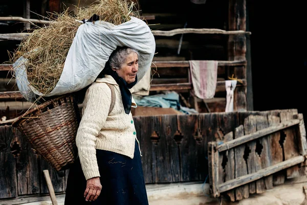 Senior kvinna som bär säck hö — Stockfoto