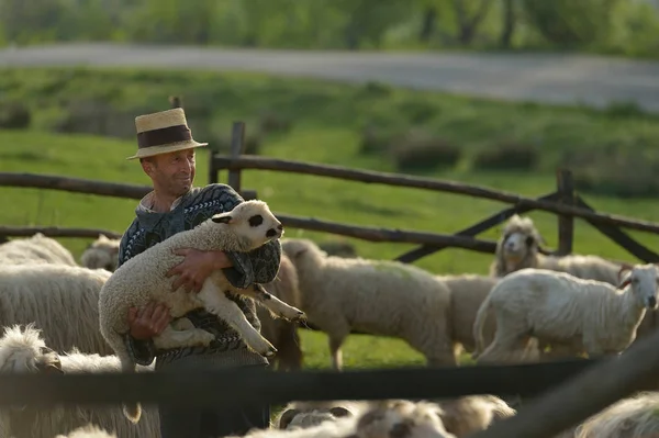 Kuzu tutan şapkalı adam.