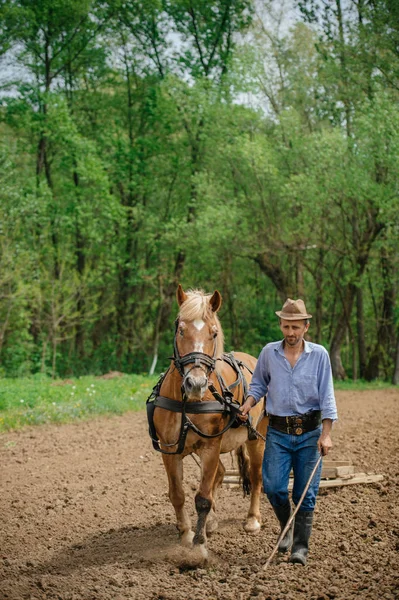 Homem de chapéu andando com cavalo — Fotografia de Stock