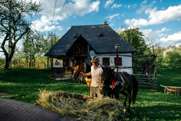 İki at ile yürüyüş şapkalı adam