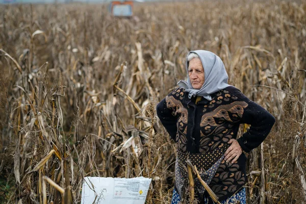 Mujer de pie en el campo de hierba seca — Foto de Stock