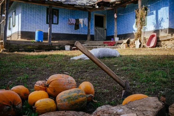 Axe and punpkins in front yard — Stock Photo, Image