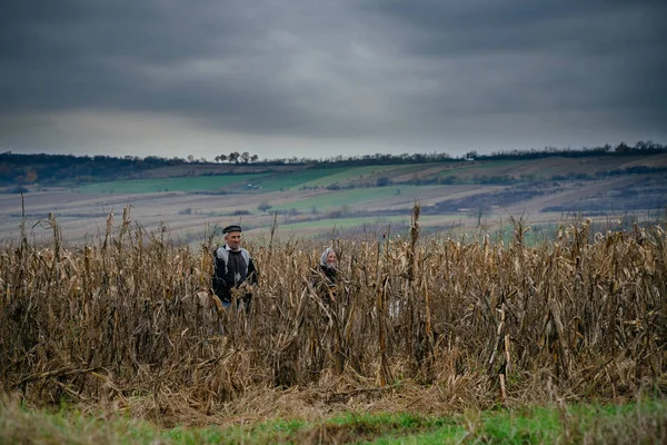 Viejo de pie en el campo seco — Foto de Stock