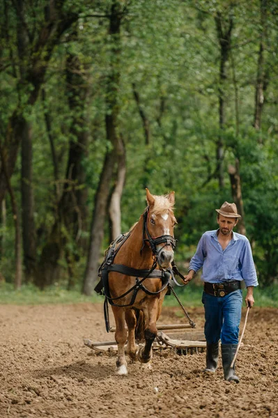 Uomo in cappello che cammina con cavallo — Foto Stock