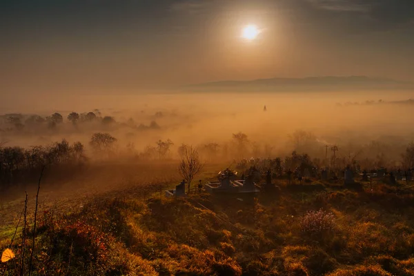 Veduta degli alberi nella nebbia all'alba — Foto Stock