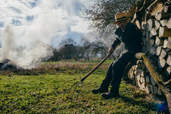 Adam odun eğilerek dirgen ile