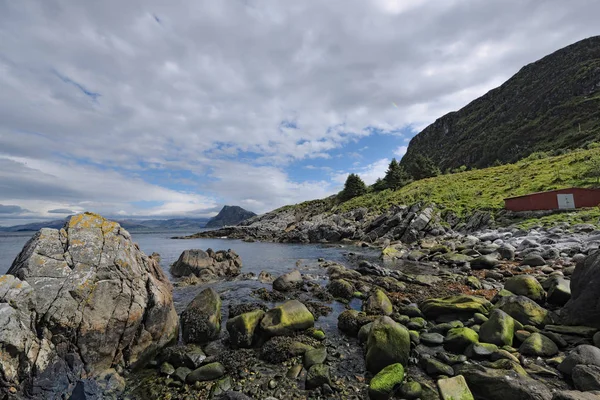Musgo cubierto rocas en la orilla — Foto de Stock