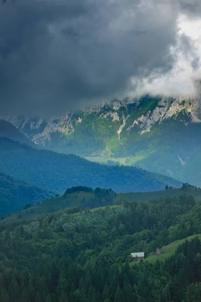 Casa nella foresta di montagna — Foto Stock