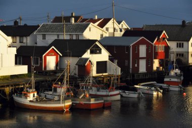 Harbour küçük tekne  