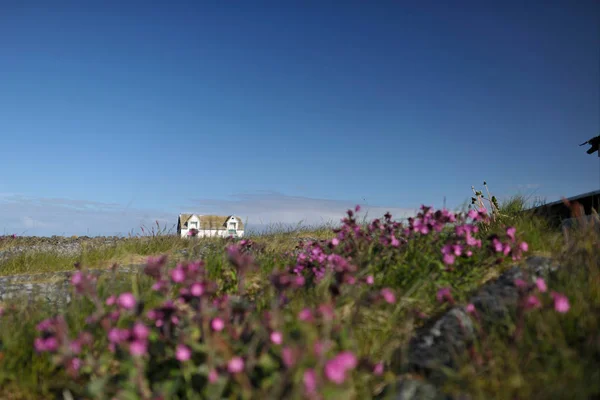 Huis en bloemen veld — Stockfoto