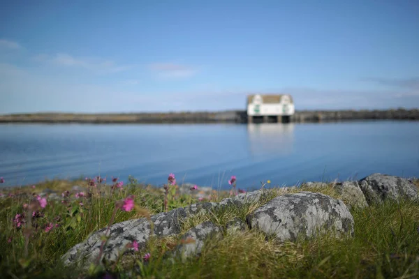 Huis op gebied van shore en bloemen — Stockfoto