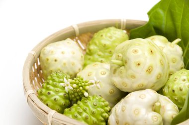noni, morinda citrifolia, bitkisel