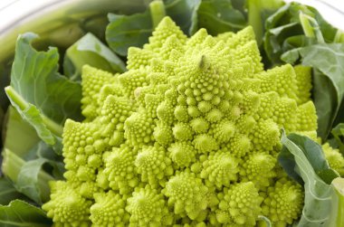 Romanesco brokoli veya Roma karnabahar