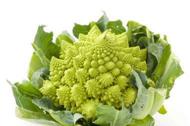 Romanesco brokoli veya Roma karnabahar