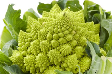Romanesco brokoli veya Roma karnabahar