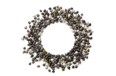 Jobs 'tan yapılmış çerçevenin kapatılması gözyaşı tohumları, Coix lacryma-jobi  