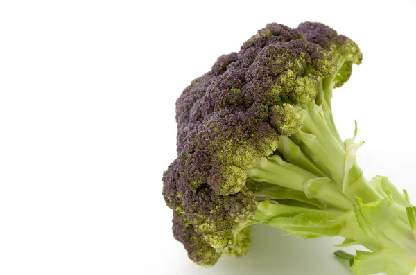 Närbild Broccoli Isolerad Vit Bakgrund — Stockfoto