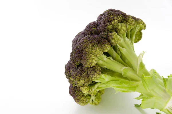 Close Broccoli Isolated White Background — Stock Photo, Image