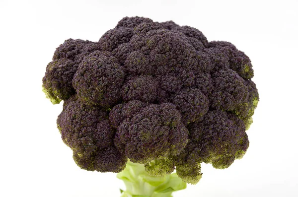 Close Van Broccoli Geïsoleerd Witte Achtergrond — Stockfoto