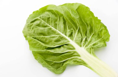 Taze yeşil swiss chard