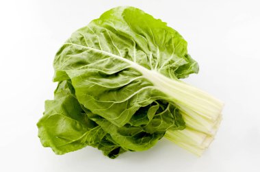 Taze yeşil swiss chard