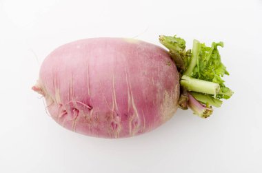 Kırmızı Japon turpu, Beni shigure Daikon.