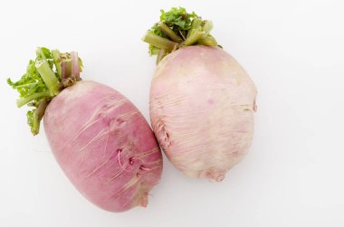 Kırmızı Japon turpu, Beni shigure Daikon.