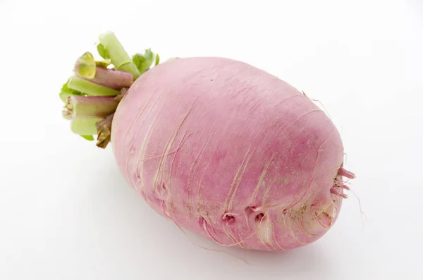 Red Japanese Radish Beni Shigure Daikon — Stock Photo, Image