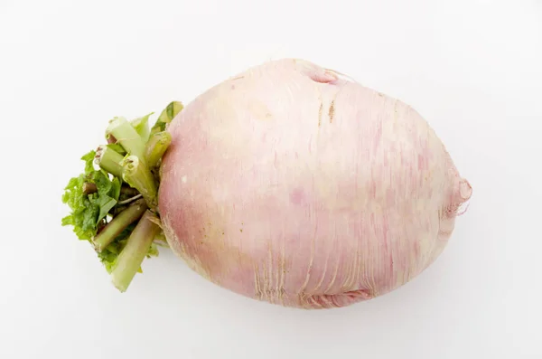 Ravanello Rosso Giapponese Beni Shigure Daikon — Foto Stock